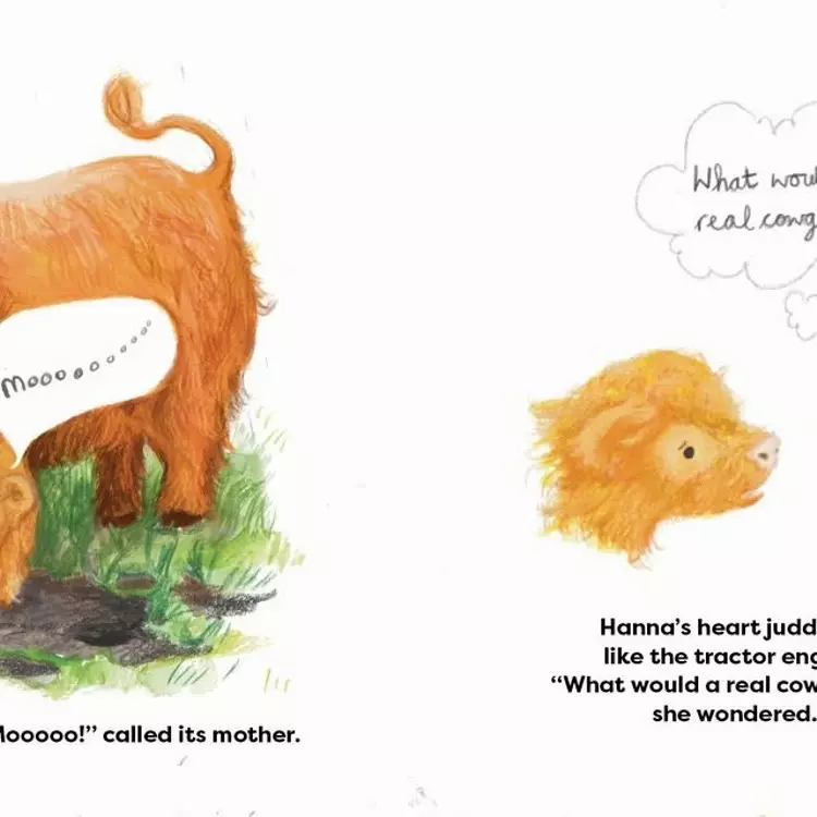 Highland cows, mother and baby cows, mother and baby Highland cows, cowgirl, girl and cow
